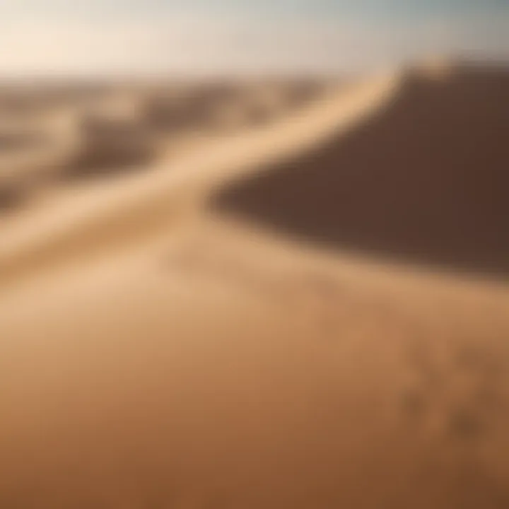 A visual comparison of physical sand dunes and their digital counterparts as NFTs.